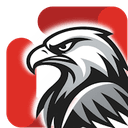 Hawk Sales